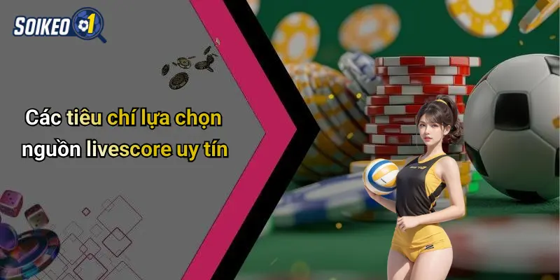 Các tiêu chí lựa chọn nguồn livescore uy tín