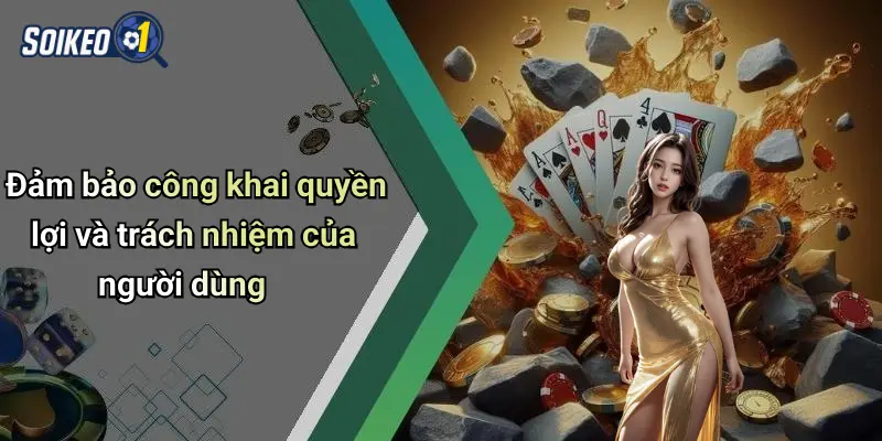 Đảm bảo công khai quyền lợi và trách nhiệm của người dùng