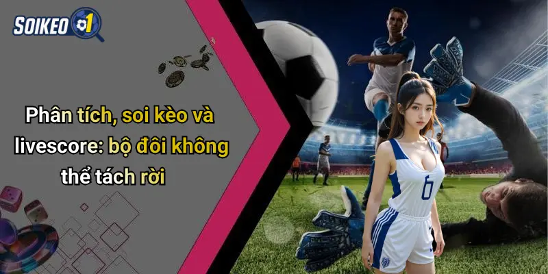 Phân tích, soi kèo và livescore: bộ đôi không thể tách rời