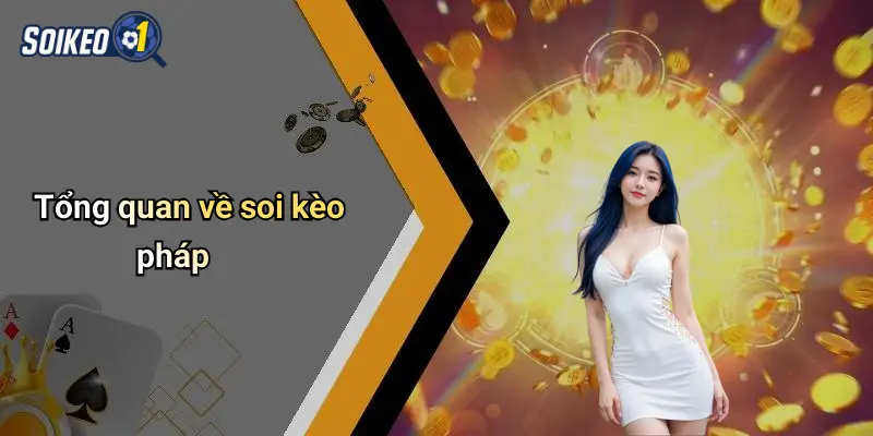 Tổng quan về soi kèo pháp